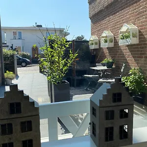 Shorestay Beachhouse Zandvoort
